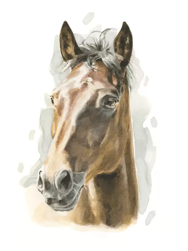 14"x10" Bespoke watercolour painting of a beautiful horse named Isaac by Robert James Hull