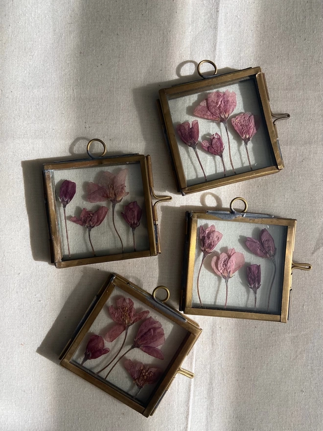 Four square brass frames with small pink pressed flowers