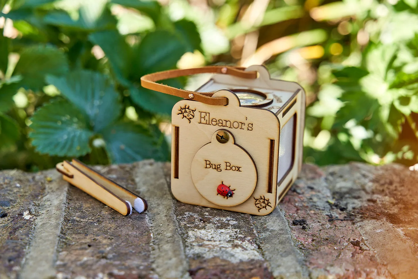 Personalised wooden bug inspection box for kids