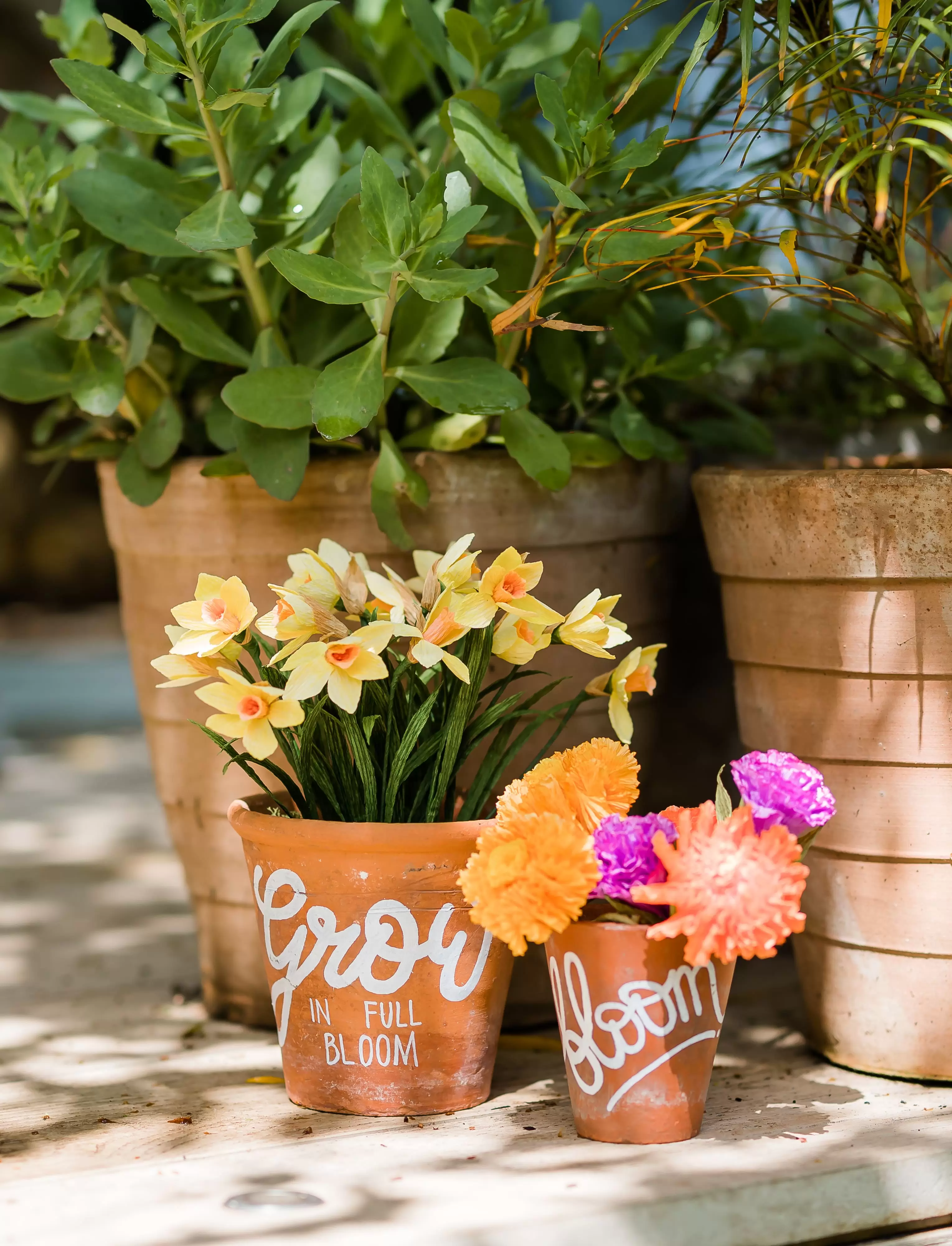 Terracotta pot by Curly Kale Design that says 'Grow in full bloom'