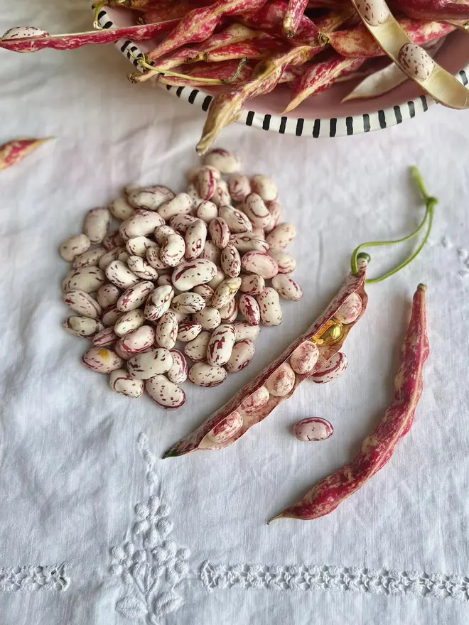 handmade ceramic borlotti bean Christmas hanging decorations