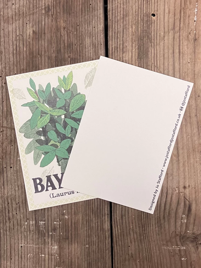 Herb Postcard Pack Bay Leaf illustration showing  front of card and back with small line of text