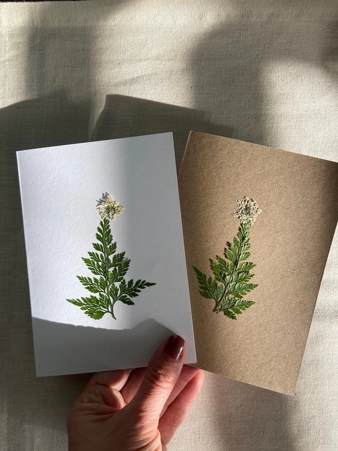 Hand holding two pressed fern christmas cards. One white, one brown
