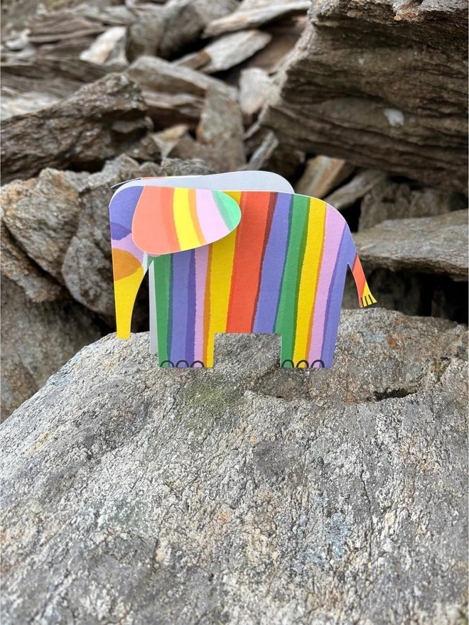 rainbow elephant fold out card