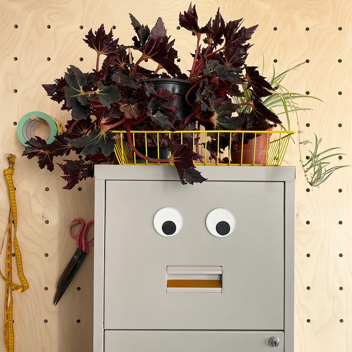 Googly eyes magnet