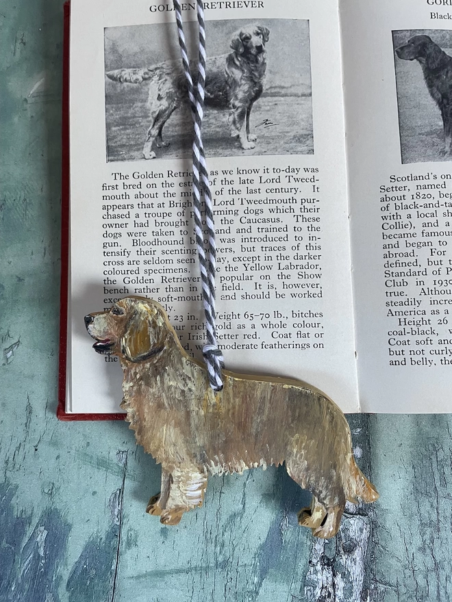 Golden Retriever Hand-painted Memorial Keepsake placed on a book about dogs