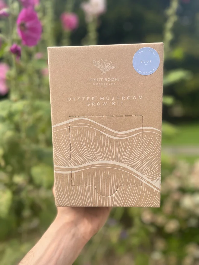 Blue Oyster Mushrooms Grow Kit