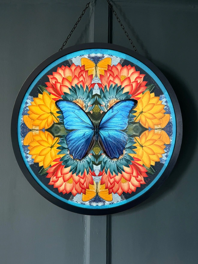 blue morpho butterfly in the centre of yellow and red lotus flowers in a black circular frame hanging on a dark grey wall
