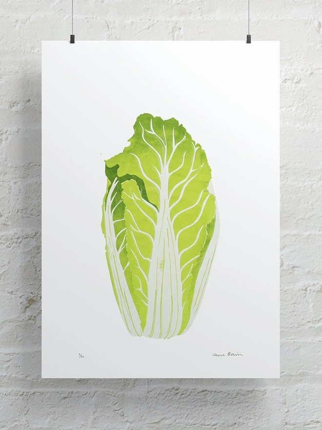 Chinese Cabbage Screenprint