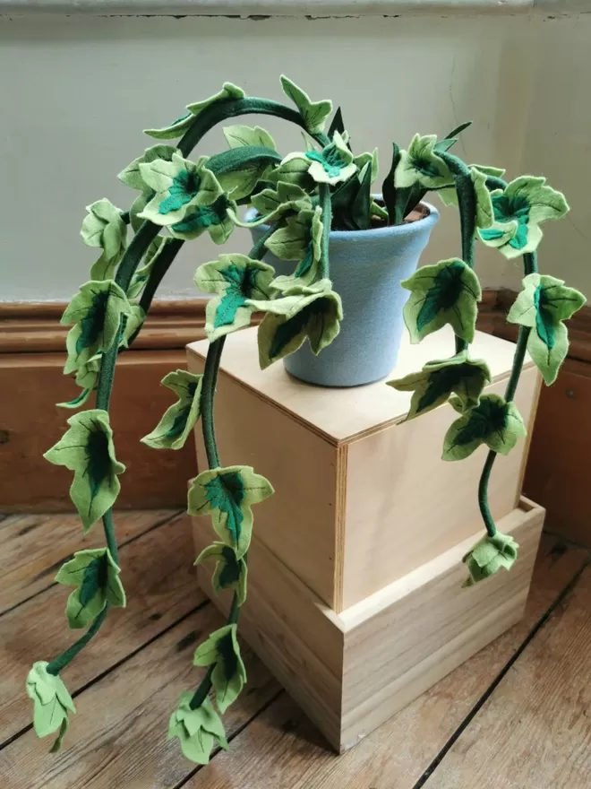 Trailing ivy felt houseplant