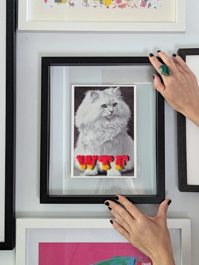 B&W cat with WTF in ombre colours embroidered print in frame