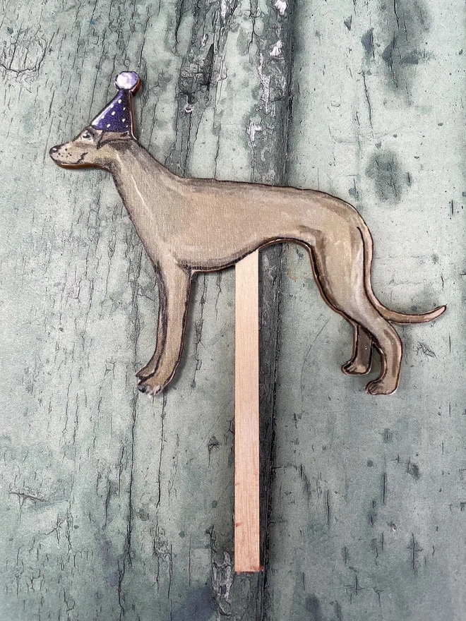 Whippet cake topper with party hat