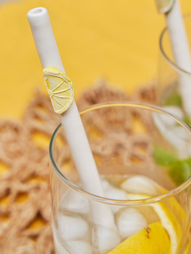 Lemon, Lime and Orange slice ceramic drinking straws on a garden table