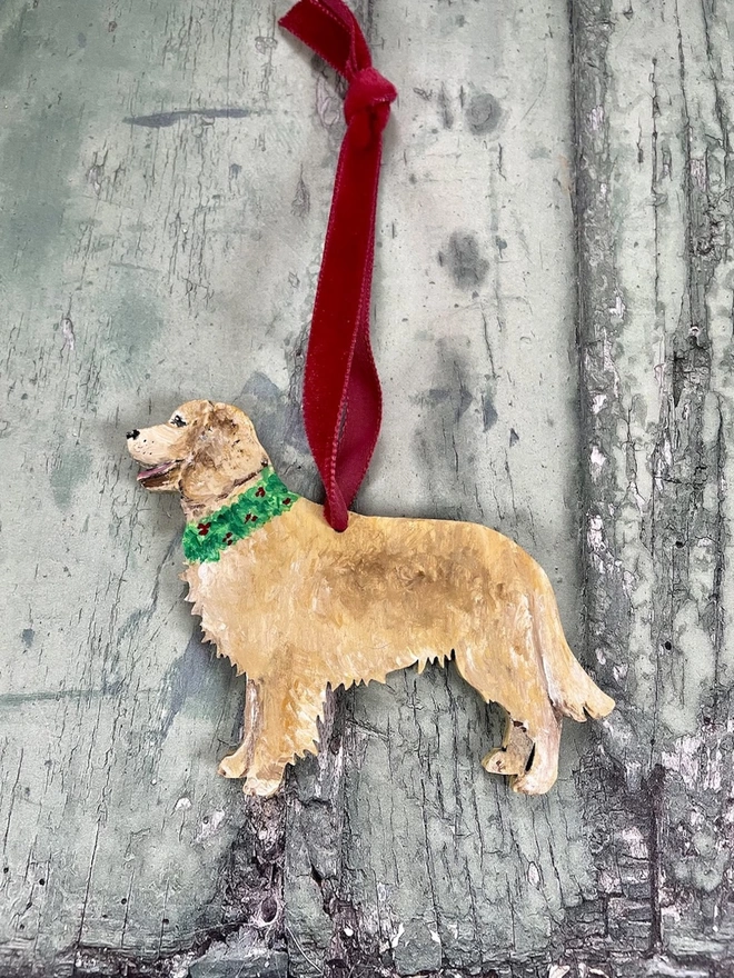 Golden retriever with red velvet ribbon 