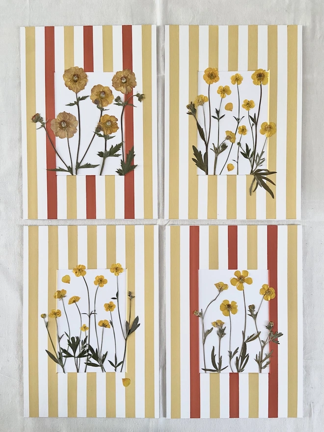 Four painted stripe mounts in yellow and orange with a mixture of pressed flowers