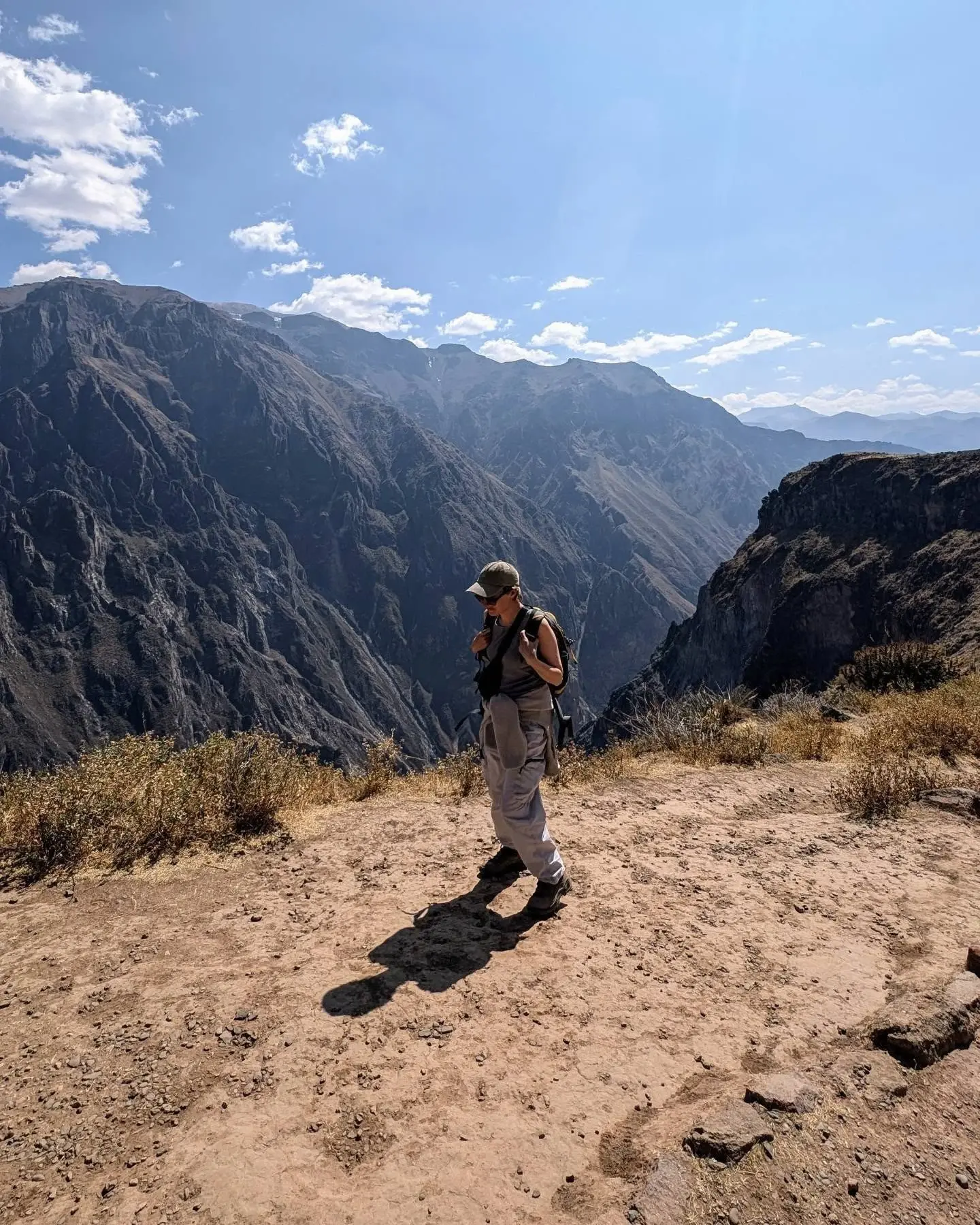 Tired Starling Studio Storefront Image