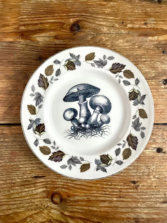 vintage plate with an ornate border, with a printed vintage illustration of mushrooms in the middle