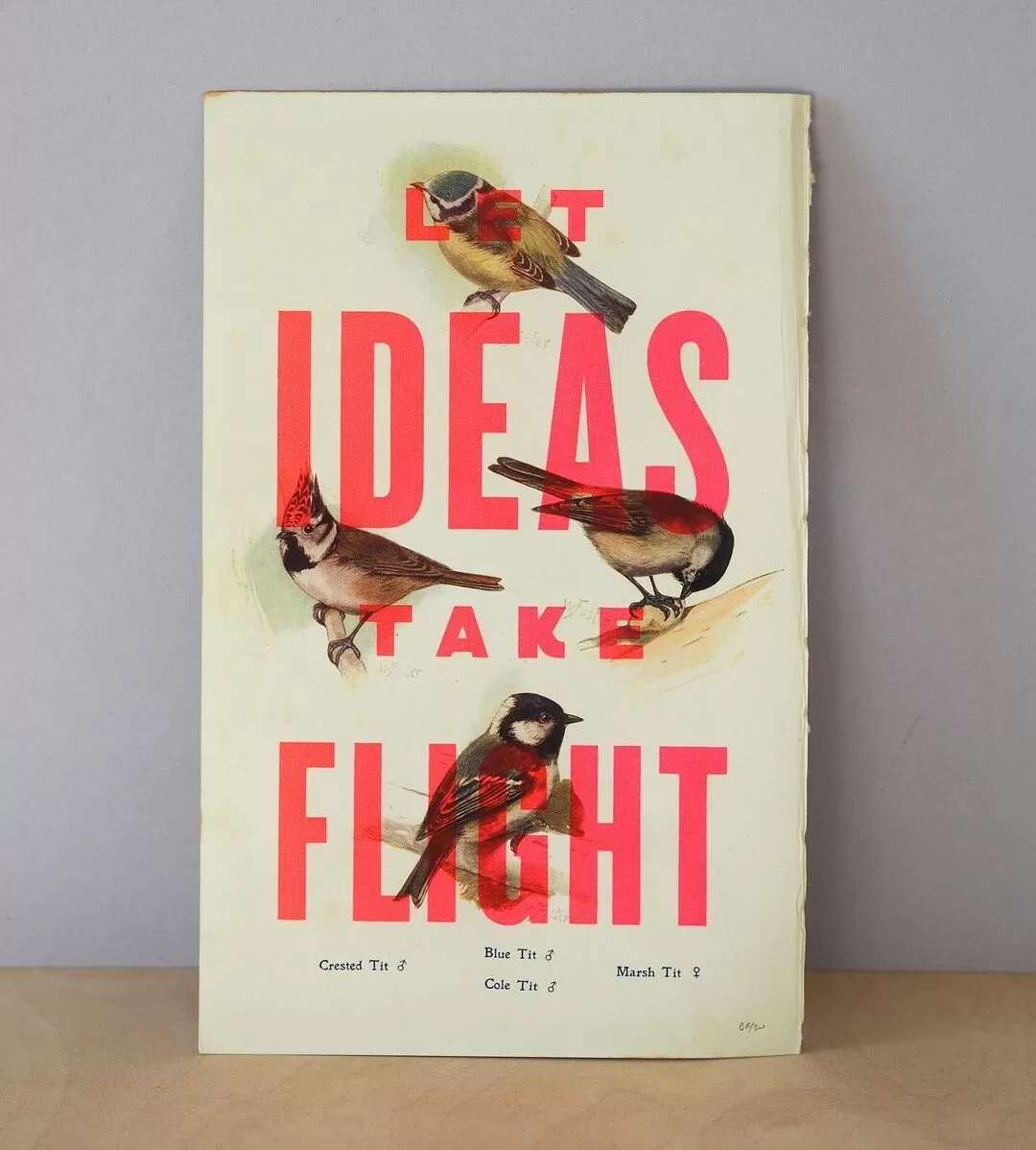 'Let ideas take flight' print by Basil & Ford