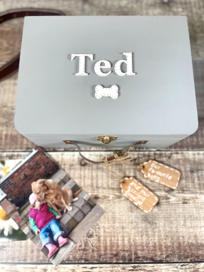 Grey Painted Suitcase with white painted lettering spelling out Ted as a dog memory box 