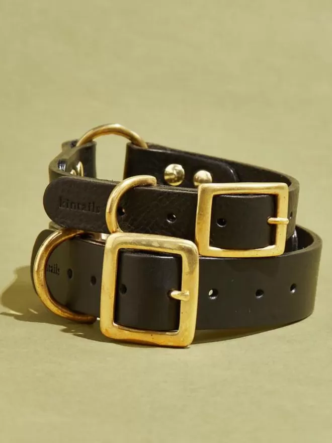 Leather Dog Collar -  Black