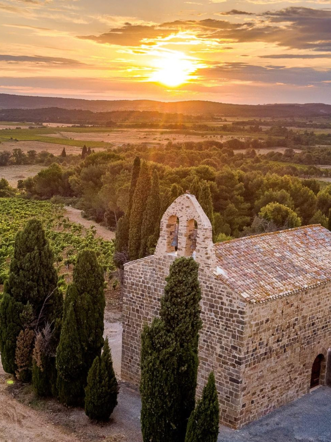 French vineyard landscape