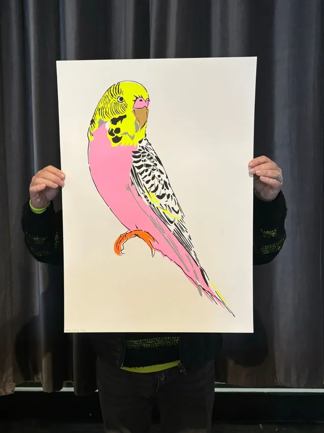 Budgerigar Screenprint - Pink