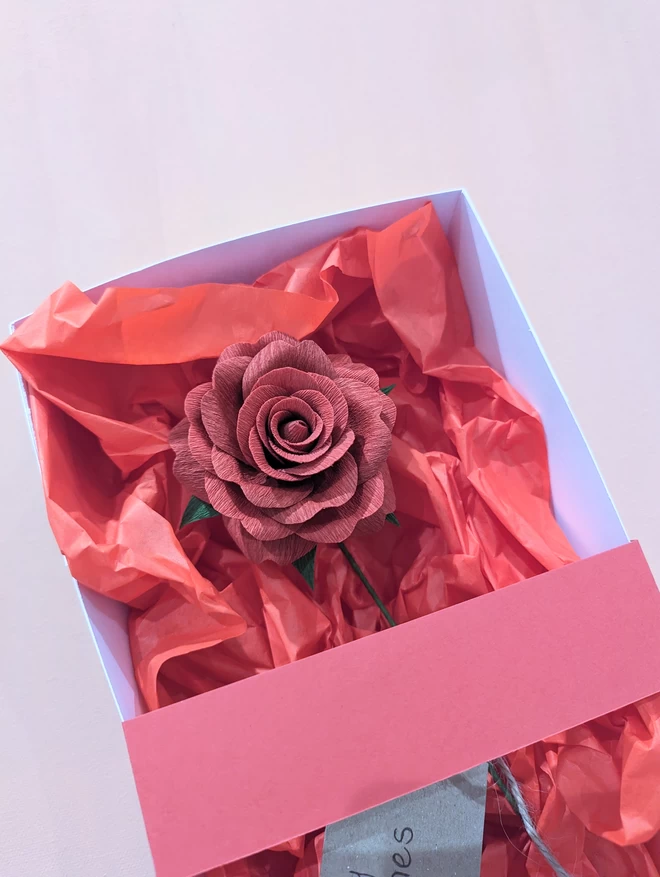 Close up of packaged rose 