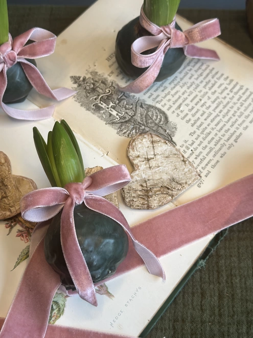 A fragrant hyacinth bulb encased in rich emerald green wax, its green stem sprouting from the wax. A Dusty pink velvet ribbon is tied in a bow around the sprouting stem. The waxed bulb sits atop a decorative springtime book. Two other waxed bulbs with velvet ribbon bows sit further back, partially out of frame.