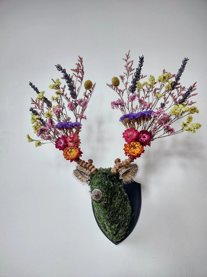 Handcrafted Dried Flower 'Rainbow Mini' Deer Wall Hanging