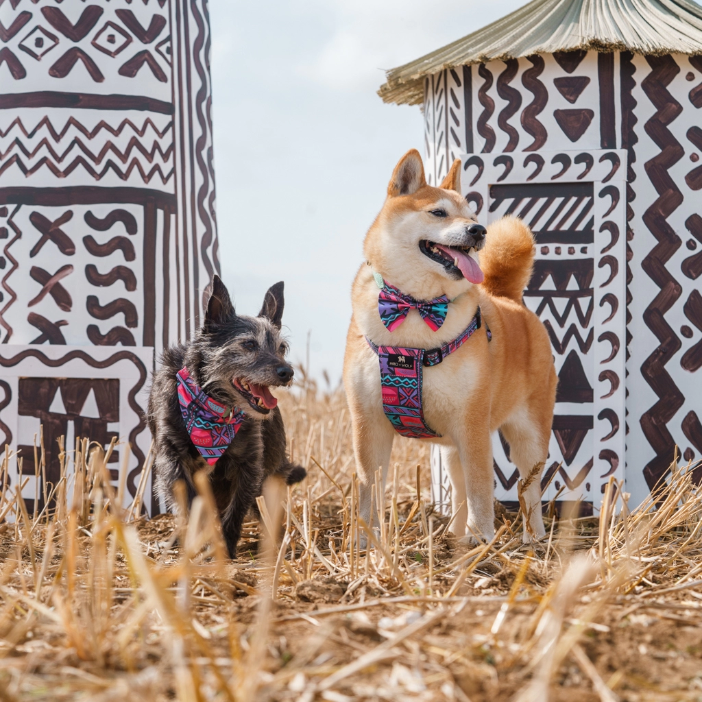 Rainbow Stripe Dog Bandana - Holly & Co