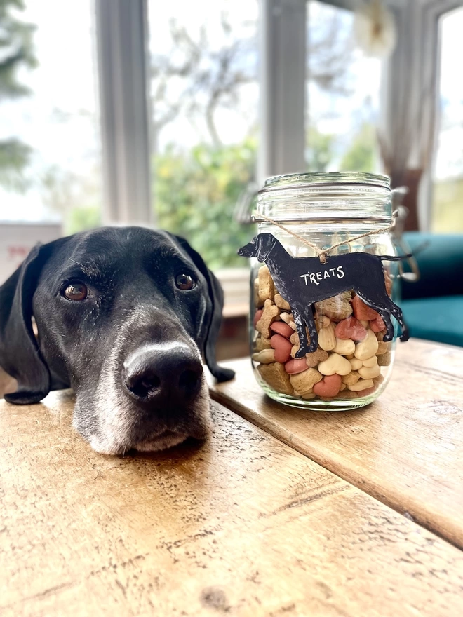 Otto the black pointer with his treat jar label 