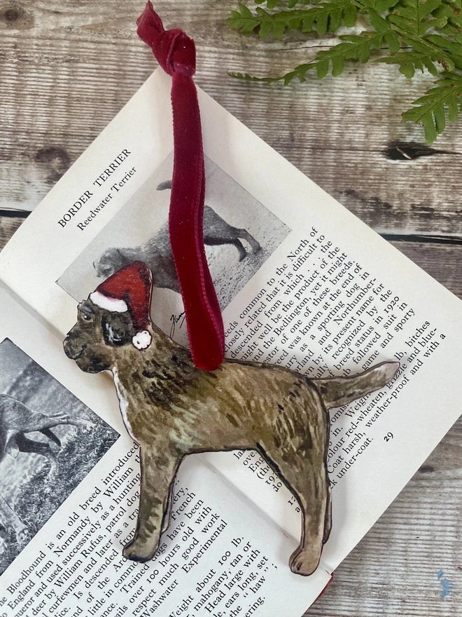 Border Terrier Christmas Decoration laid on a book about dogs