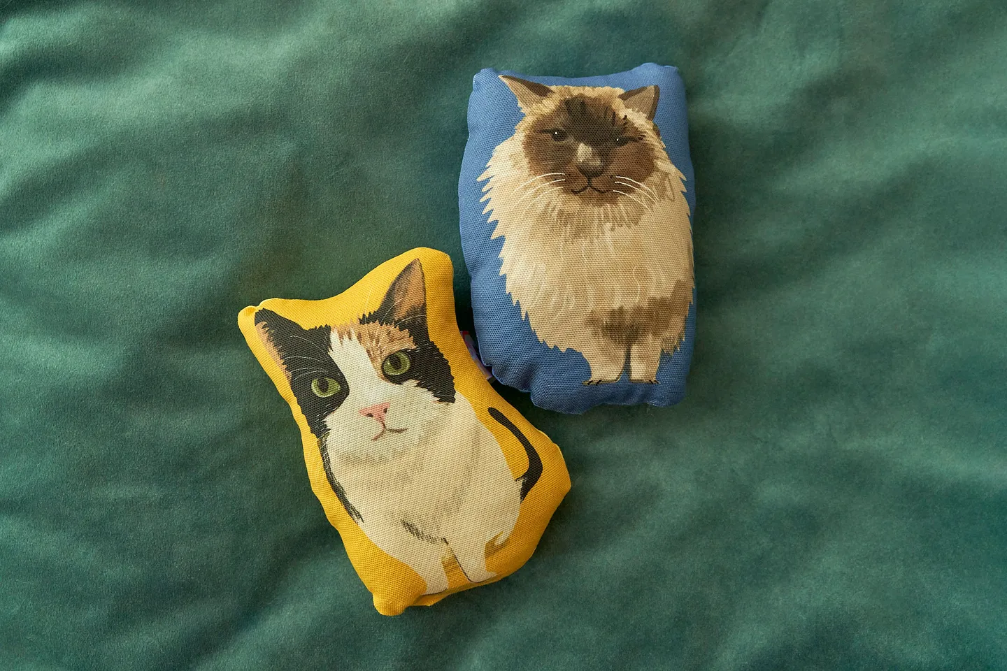 Custom pet plushie