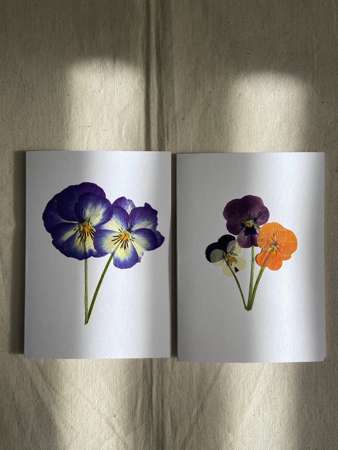 Two different designs of pressed pansy flower greeting cards