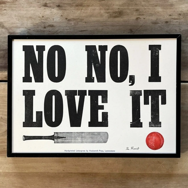 No no I love it cricket print