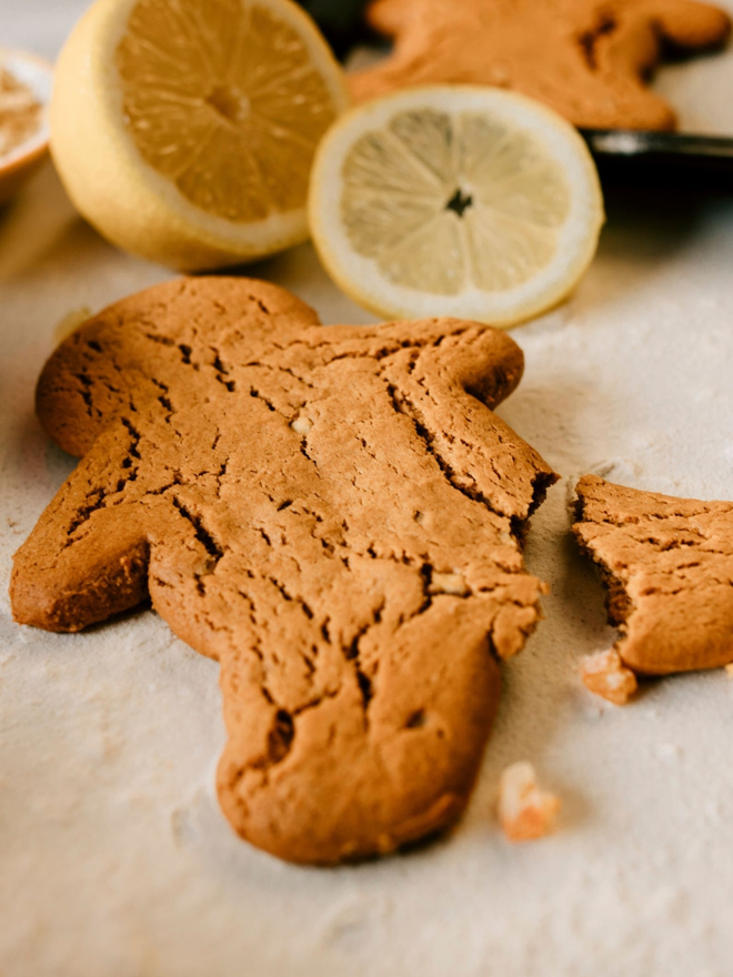 artisan Italian lemon gingerbread