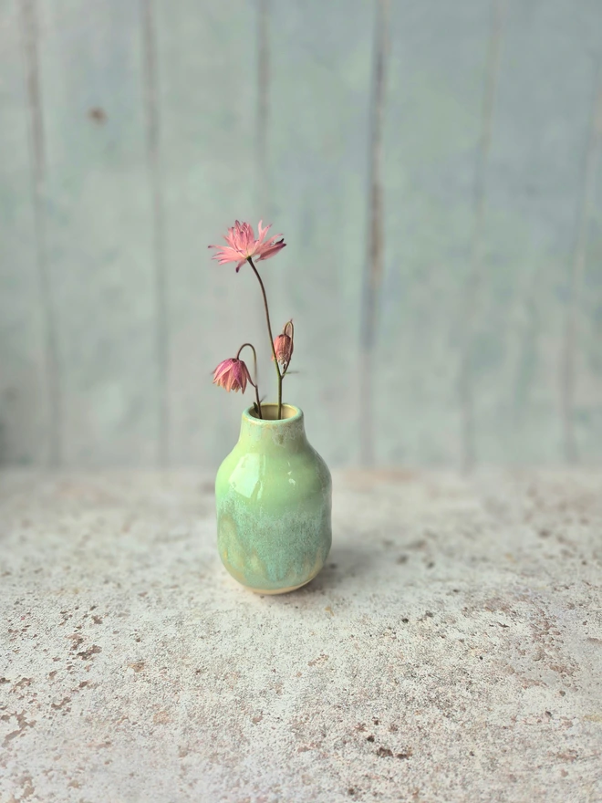 ceramic mini vase, pottery vase, flower vase, Jenny Hopps Pottery