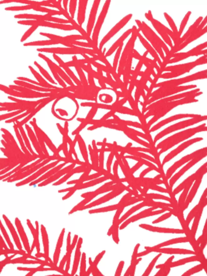 A close up of an illustration.  A red Yew branch on white background. 