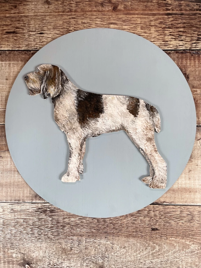 Italian Spinone Dog Portrait