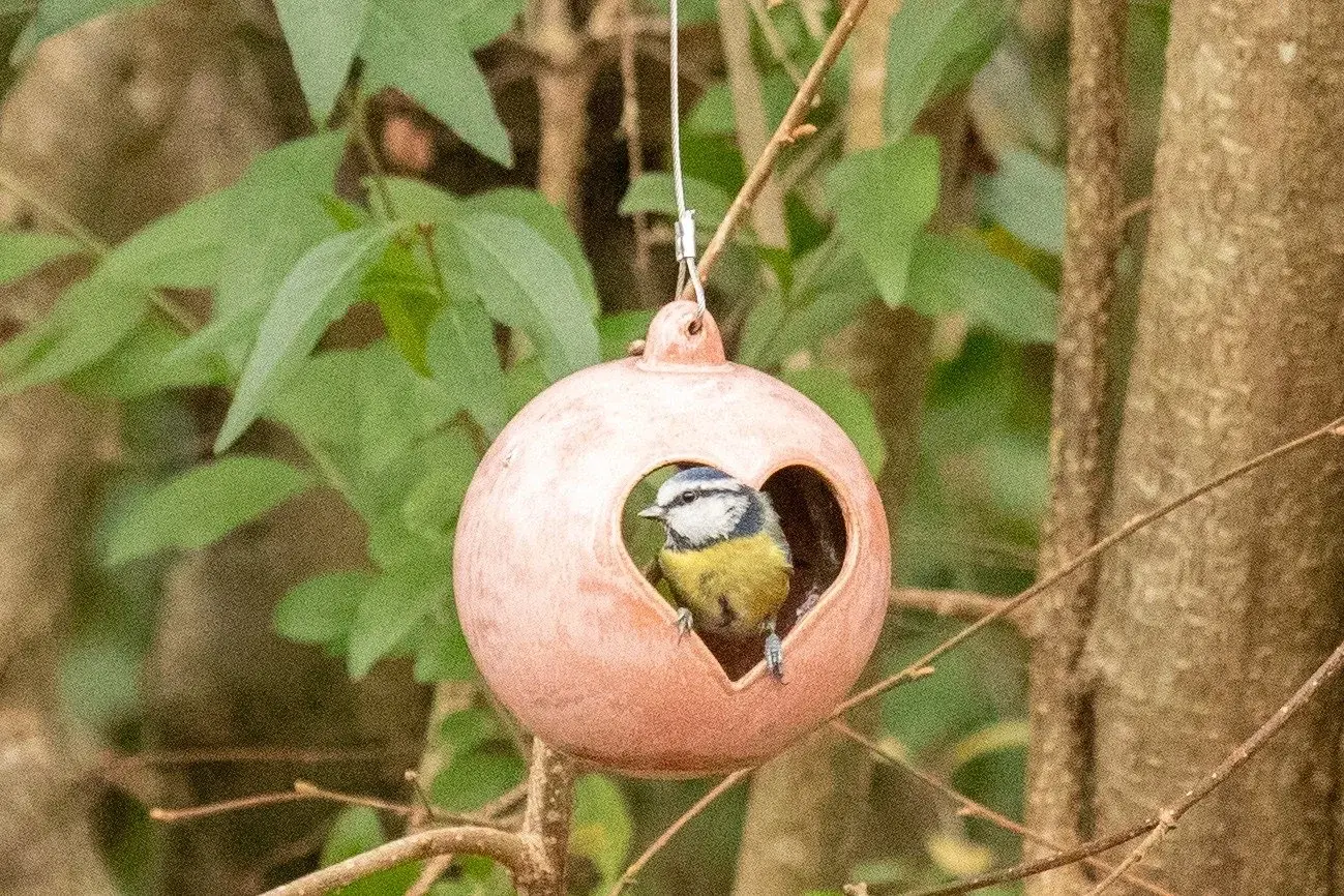 Heart ceramic bird feeder
