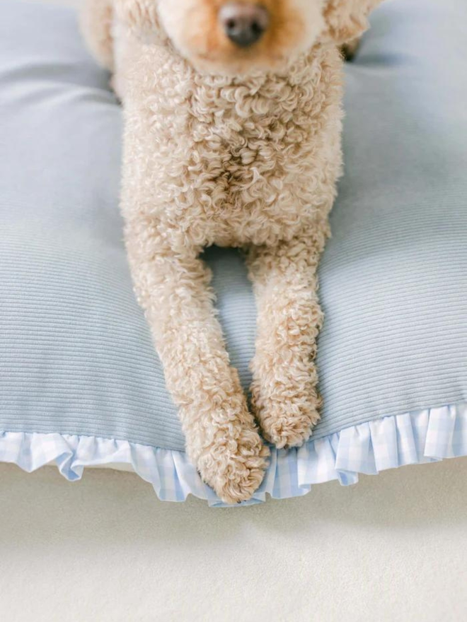 poodle on light blue corduroy and gingham dog bed