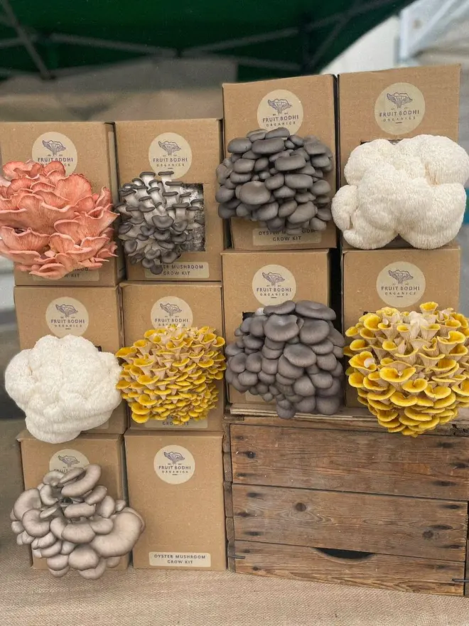 Mushroom Growing Kits