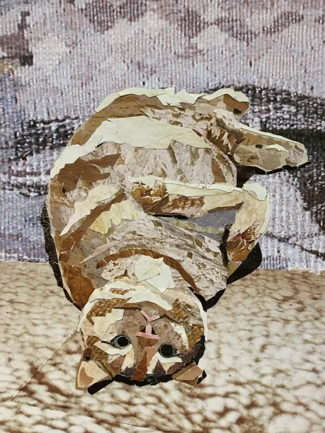 Handmade Cat Collages