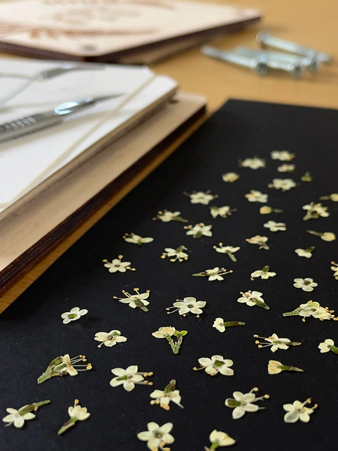 Pressed flowers from Lucy's flower press. They are used in her floral designs across her nature-inspired products.