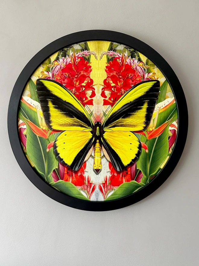 Photo of a black circular frame and artwork with a yellow, goliath birdwing butterfly in the centre, surrounded by tropical foliage and red flowers arranged in a symmetrical pattern. The art is hanging on a grey wall. 