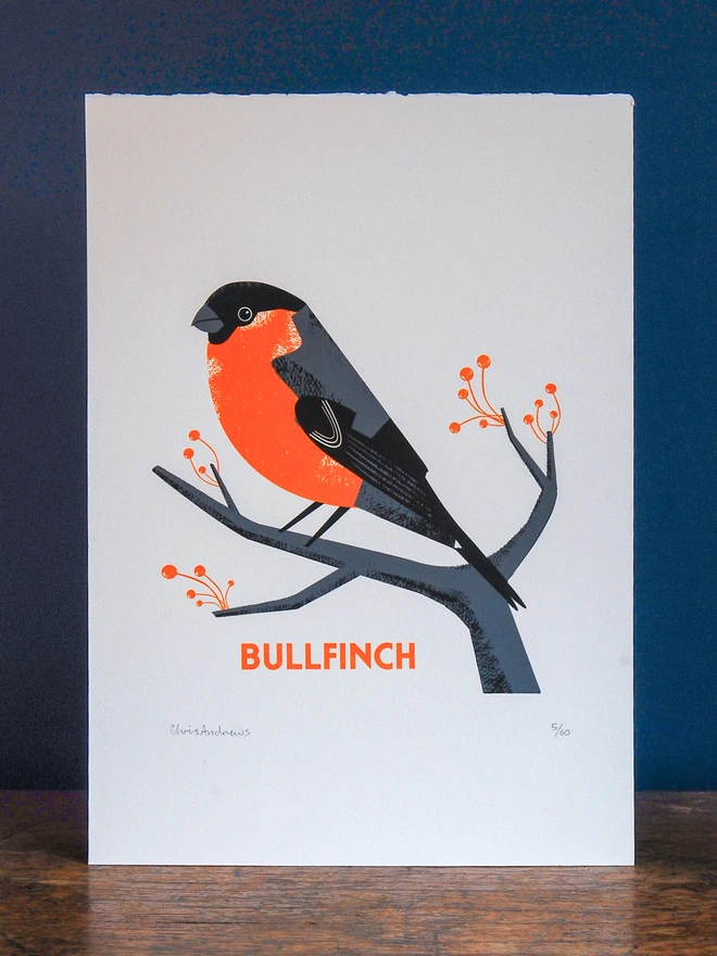 A screenprint of a Bullfinch bird on white paper against a navy blue background. This is a close up image with nothing else in the frame.
