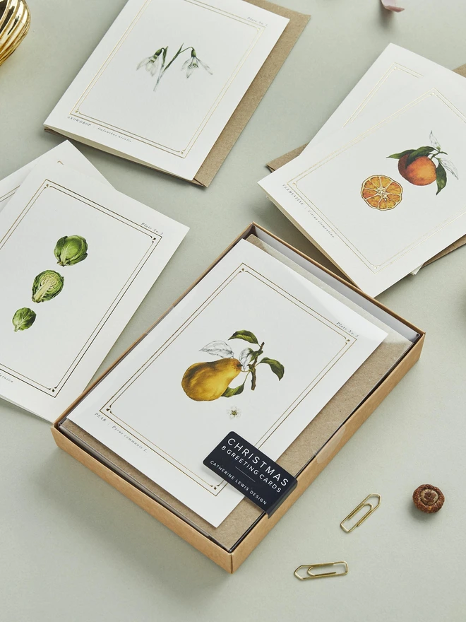 Botanical elements on a greeting card with gold details, with a box of 8
