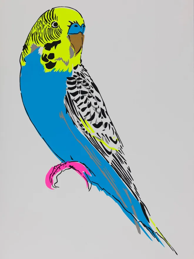 Budgerigar Screenprint - Blue