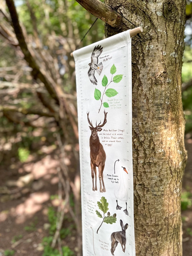 close up of top of the fabric height chart featuring a male red deer, a buzzard and a hare