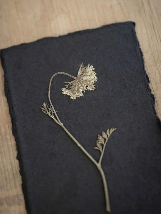 pressed wildflower artwork